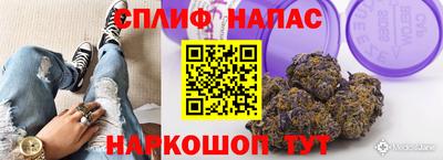 сатива Заводоуковск