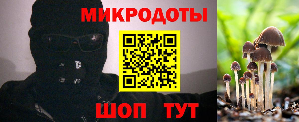 Псилоцибиновые грибы Cubensis  Вход с VPN  Псилоцибиновые грибы прущие грибы  Губаха 